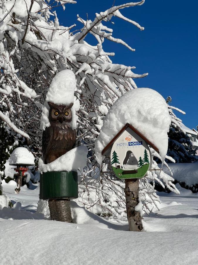 Boutique Hotel Dorer Schoenwald im Schwarzwald Exterior photo